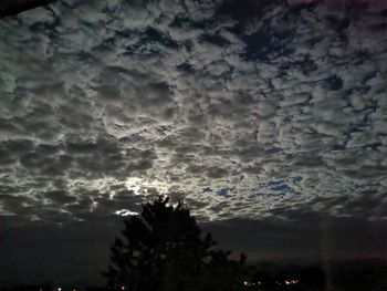 Low angle view of trees against cloudy sky