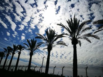 Silhouette palm trees against sky during sunset