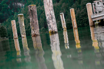 Close-up of wooden posts in lake