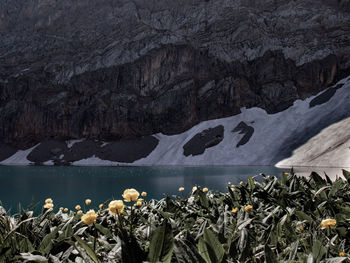 Scenic view of iffigsee in spring