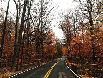 Road amidst trees in forest during autumn