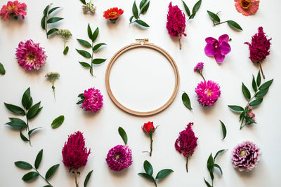 High angle view of pink flowering plants on table