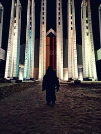 Rear view of woman standing against illuminated building