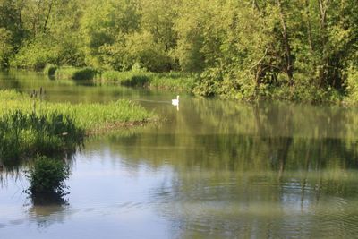 Scenic view of lake