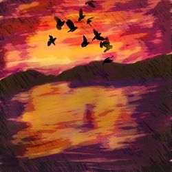 Silhouette birds flying against sky during sunset