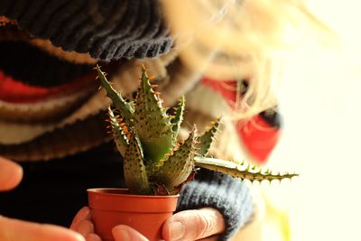 Close-up of woman holding cactus in potted plant