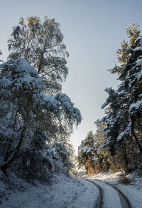 Road amidst snow covered trees against clear sky