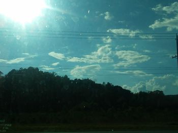 Low angle view of trees against sky