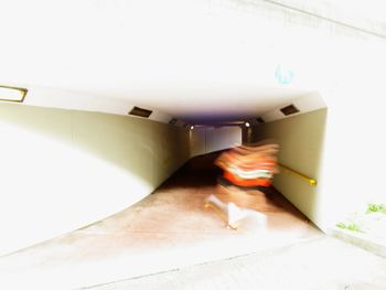 Cat looking at camera