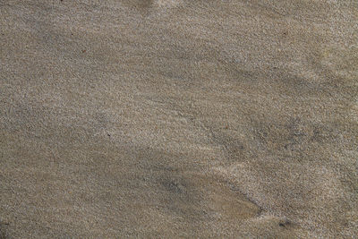 Full frame shot of textured surface