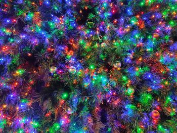 Full frame shot of illuminated christmas tree