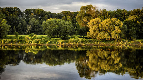 Scenic view of lake by trees in forest against sky