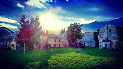 Sun shining over grassy field