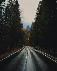 Empty road amidst trees against sky during autumn