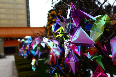 Close-up of multi colored hanging outdoors