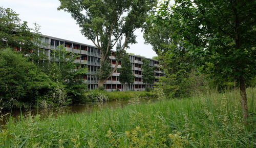 Houses on field by trees against sky