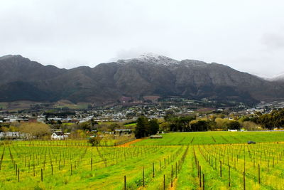 Scenic view of agricultural field by mountains against sky