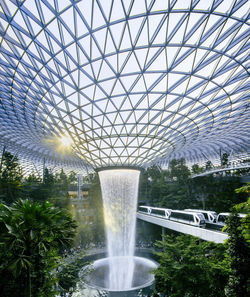 Fountain by trees in city against sky