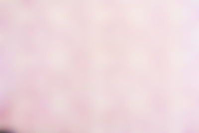 Defocused image of pink background
