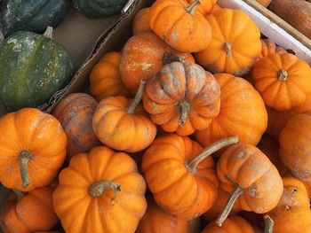 Full frame shot of pumpkins