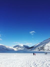 Snow covered landscape