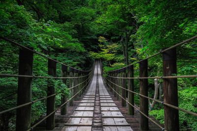 Footbridge amidst trees in forest