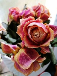 Close-up of rose bouquet