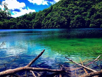 Scenic view of lake in forest against sky