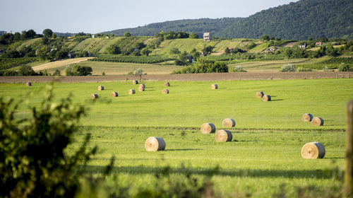 Hay bales on field against sky