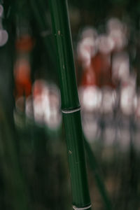 Close-up of water drops on glass