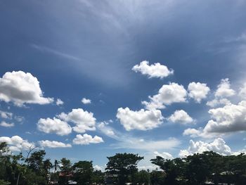 Low angle view of trees against sky