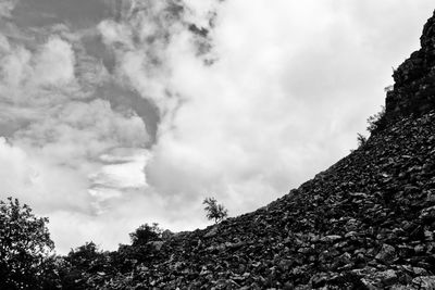 Low angle view of trees against sky