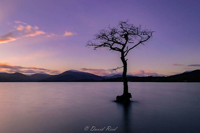 mountain, mountain range, tranquil scene, tranquility, scenics, beauty in nature, lake, sky, water, sunset, nature, silhouette, idyllic, bare tree, reflection, non-urban scene, cloud - sky, landscape, cloud, tree