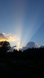 Silhouette trees against sky during sunset