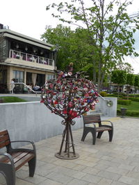 Empty chairs and trees in park