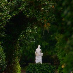 Distant image of statue in park