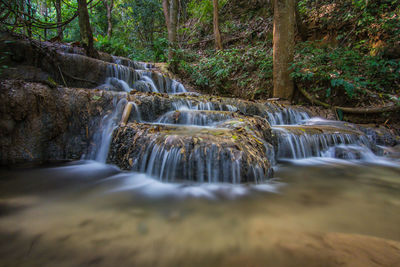 Scenic view of waterfall in forest