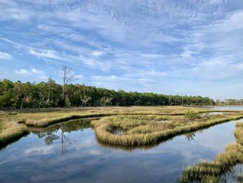 Scenic view of marsh against sky croatan national forest outer banks north carolina 
