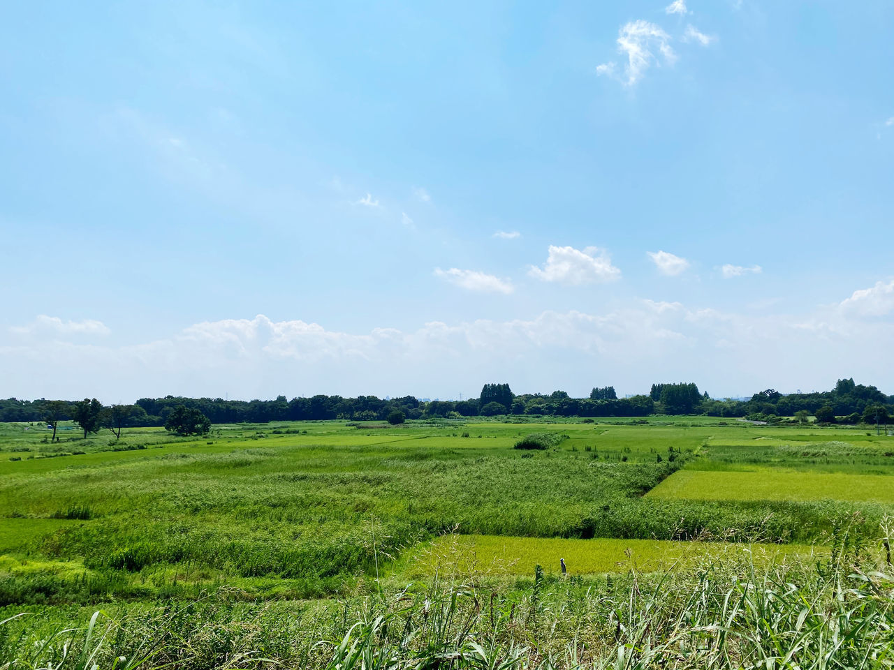 SCENIC VIEW OF FARM FIELD AGAINST SKY