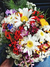 Flowers blooming in park