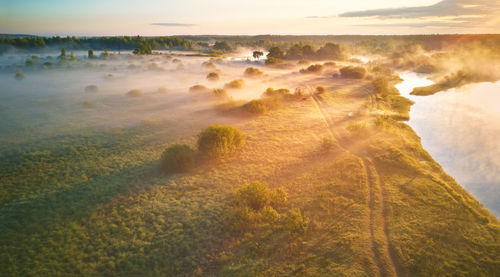 Summer misty sunrise on meadow. country road green fields riverbank. sunlight  oak trees  morning. 