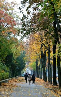 Rear view of people walking on road amidst trees in park