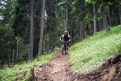 Man riding bicycle on road amidst trees in forest