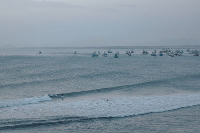 Scenic view of harbour with surfer against sky