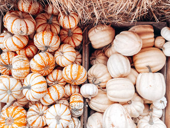 High angle view of pumpkins for sale at market