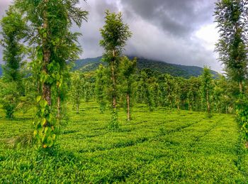 Scenic view of field against cloudy sky