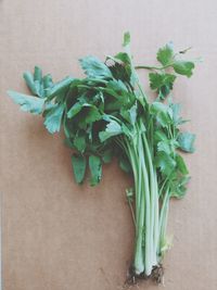 High angle view of vegetables on table