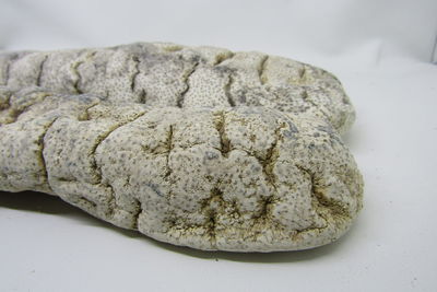 Close-up of cookies on white table