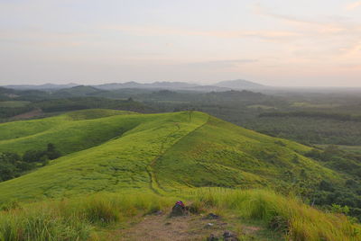 Scenic view of green landscape against sky