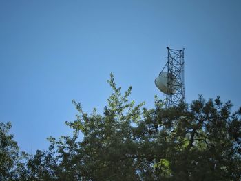 Low angle view of tree against sky